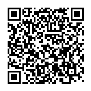 在对上自家大哥调侃的眼神才明白自己分明就是自己送上门来的苦力啊二维码生成