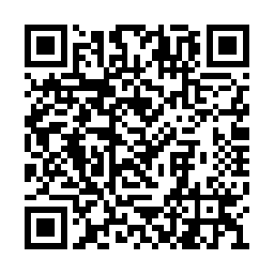 在对方当头罩来的气势压迫下脸上顿时血色全失二维码生成