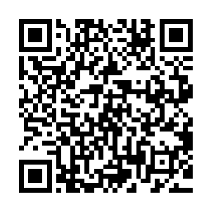 在对面的白墙上投影出了金刀生前五分钟眼睛里所看到的画面二维码生成