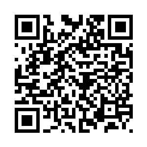 在将要到达七玄宗的一片小树林中二维码生成