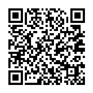 在将这件事情的大概情况向杨晨进行了简单说明以后二维码生成