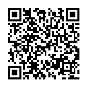 在小肥羊一口将青光巨门和青光柱吸入口中的时候二维码生成