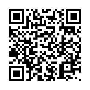 在小胖面前它们从始至终都不敢反抗二维码生成