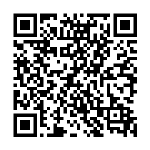 在小镇里面把布拉迪・威龙这种跑车开进去怎么看都有问题二维码生成