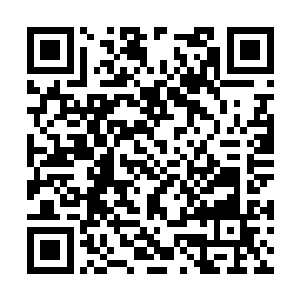 在少年的身后却遍布着一条看不见尽头的荆棘之途二维码生成