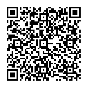 在山东被抓到的那个刺客被押上来与土匪们面对面时两边都忍不住露出了惊诧的表情二维码生成