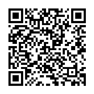 在岛国享受了其他国家公民无法比拟的超国民待遇二维码生成