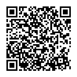 在巅峰争霸s2的预赛中取得了全胜……而且从三十六场的整体数据来看二维码生成