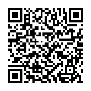 在巫修一道上已经到了突破地巫七鼎初期的边缘二维码生成