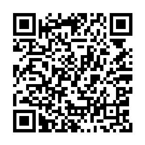 在巴黎的时候就接到了丈母娘之一马桂芳的电话二维码生成