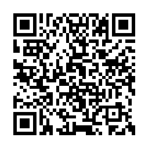 在帐外的护卫在乌乌儿的带领之下立即冲了进来二维码生成