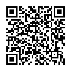 在帝宗一般的弟子可绝对不能像他那样拥有如此强大的资源二维码生成