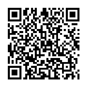 在帝王的眼里有时候或许还不如手里的一把棋子二维码生成