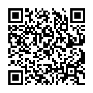 在座的其他人也几乎都认为这个白发男已经不活了二维码生成