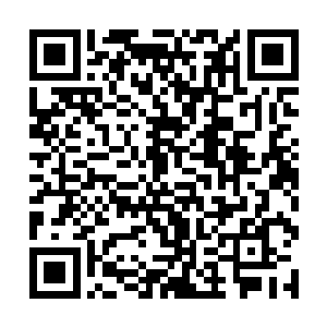 在庭院里值守的刘大刀又一次看到刘牧探头往外看后二维码生成