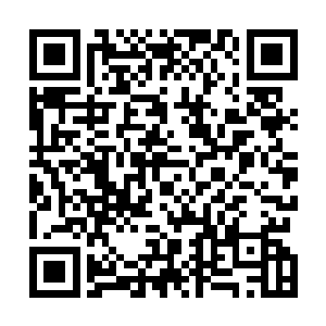 在建造的时候也就留下一些和十二生肖相应的图腾与雕塑二维码生成