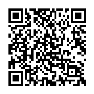 在开播之初是以寓教于乐的动画片形式进行播放二维码生成