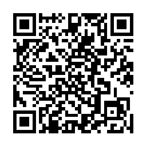 在张清九将她亲手制作的第二张火球符交道奴婢的手里后二维码生成