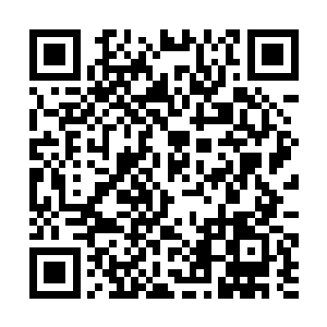 在张铁把其中的十颗莲子放入到试验瓶中浸泡着之后二维码生成