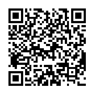 在张铁身前身后叽叽喳喳的追逐着张铁撒下的小麦……二维码生成