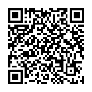 在弱肉强食的修真界其实这么做也就是腹黑冷硬了一点而已二维码生成