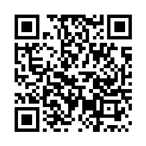 在弹体尾部安装有一个预制破片的球形战斗部二维码生成