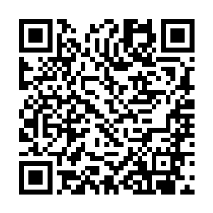 在当初天马阁事情之后五毒教教主便是消失不见踪影二维码生成