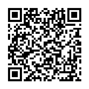 在当年鬼王败落之后被阎罗给封印在第十九层地狱内之后二维码生成