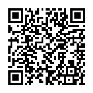 在当时勉强算是电视剧圈子里的一个小腕儿之外二维码生成