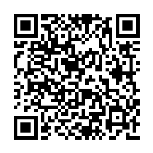 在影无空的空间戒指内找到了鬼龙无影身的秘籍二维码生成