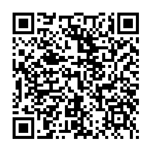 在徐天然的一剑之下化为江河之水重重浪涛不尽滚滚袭卷冲向楚暮二维码生成