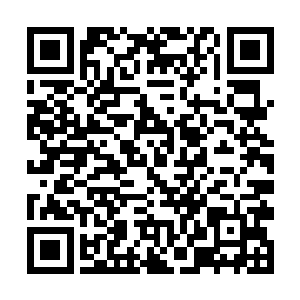 在得到曲承泽握拳一定早日通过去找到他们的保证后二维码生成