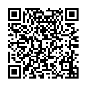 在怎么说铁甲武士也不过是中品武尊的战斗力而已二维码生成