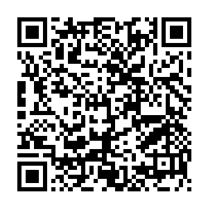 在悄悄用眼角余光扫了一眼沢田纲吉那几乎可以说是变形了的表情之后二维码生成