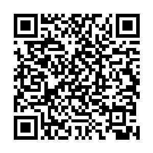 在想到十个战斗脑的孩子撒出去会带回来的一连串的麻烦二维码生成