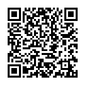 在意识到他们无论如何都追不上背叛者和抛弃者之后二维码生成