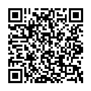 在感觉到空气中明显比之前稀薄的血腥味的时候二维码生成