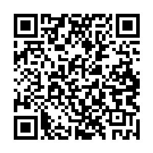 在慕容将这些基础武技都修炼到融会贯通的境界之后二维码生成