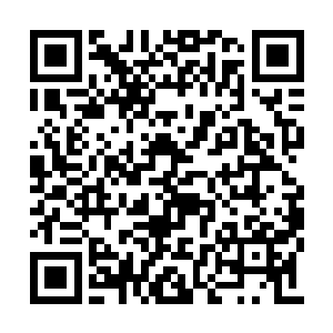 在我的生命里没有任何事情是比兰花更加重要的二维码生成