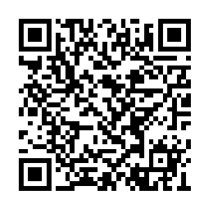 在我身边也有几十只蝎子漂浮在血海上正扑向我二维码生成