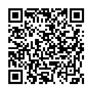 在我进门时候就向我主动汇报其今晚有按时吃饭二维码生成