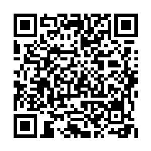 在我鼓起前所未有的勇气主动吻上他的唇的时候二维码生成