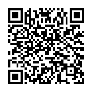 在战斗中也一直没见到这两具法宝发挥任何作用二维码生成