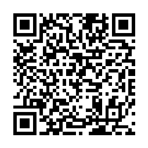 在所有人的目光中朝着李月茹她们所躲藏的山洞的上方走去二维码生成