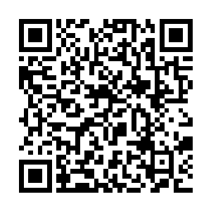 在所有人目瞪口呆之下直接飙升至大圣域九重天巅峰二维码生成