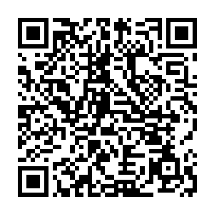 在所有人看到张铁微笑着割开自己手腕血管想要把石头上的那个凹坑灌满的时候二维码生成