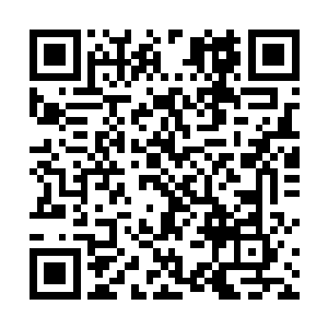 在把宝马撞飞出去之后没有继续顶着它的车屁股向前跑二维码生成