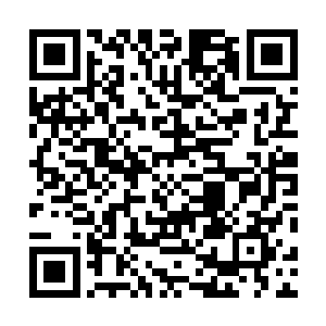 在把魔族男爵的地之脉轮吸得只剩下百分之十的残余之后二维码生成