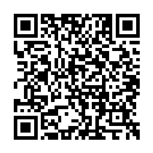 在掌心释放出一个球形的气罩将草药罩在了里面二维码生成