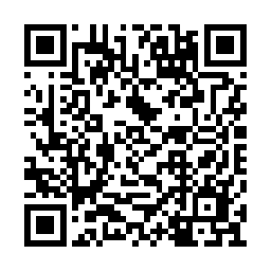 在排除掉傻大姐和苏落这俩不参与战斗的人员外二维码生成